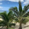 Отель Rarotonga Villas, фото 25