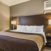 Отель Comfort Inn Toronto City Centre, фото 7