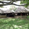 Отель Mara Ndovu Lodge, фото 17