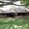 Отель Mara Ndovu Lodge, фото 13