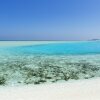 Отель Rasdhoo Dive Lodge, фото 37