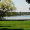 Отель Greenlake Little Oasis, фото 8