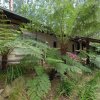 Отель Fernglen Forest Retreat of Mount Dandenong (Self Contained Bed And Breakfast Cottages), фото 13