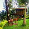 Отель Bunyonyi Overland Resort, фото 16