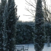 Отель Agriturismo Spagnolina, фото 21