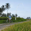 Отель The Amerta Private Villa Ubud, фото 8