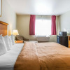 Отель Quality Inn Tracy I-205, фото 31