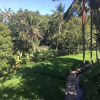 Отель Puri Raya Villa Ubud, фото 24