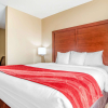 Отель Comfort Suites Gulfport, фото 4