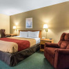 Отель Econo Lodge Crestview, фото 6