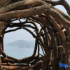 Отель Shengsi wolfberry island mujumuyi Guesthouse, фото 10