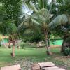 Отель Cocoa Village Guesthouse, фото 4