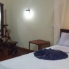 Отель Sigiri Lion Lodge, фото 5