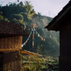 Отель The Farm Stays at Herb Nepal, фото 19