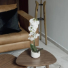 Отель Punto Lofts Periférico Sur, фото 8