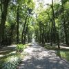Отель Gromada Medical SPA Busko-Zdrój, фото 40