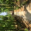 Отель Phoxay Ngam Resort, фото 9