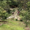 Отель Malekus Mountain Lodge, фото 9
