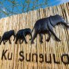 Отель Ku Sungula Safari Lodge, фото 9