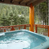 Отель Aloha Whistler Accommodations - Creekside, фото 7