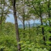 Отель Lil' Slice of Heaven by Escape to Blue Ridge, фото 2