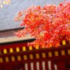 Отель Stay SAKURA Kyoto Nijo Rikyu, фото 8