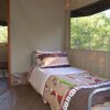 Отель Wild Olive Tree Camp, фото 3