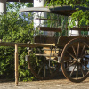 Отель Uga Ulagalla - Anuradhapura, фото 23