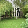 Отель B&B behind the tree, фото 17
