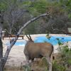 Отель Ohange Namibia Lodge, фото 16