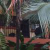 Отель Apartamentos Coco Marindo в Ко́ко