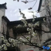 Отель Sheng Zai Huizhou Boutique Hostel, фото 12
