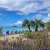 Отель Oceans at Divi Little Bay, фото 12