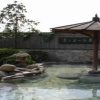 Отель Good Fortune Hot Spring Hotel, фото 11