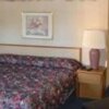 Отель Homestyle Inn and Suites Springfield, фото 7