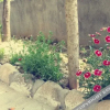 Отель Yidianyuan Farmhouse, фото 7
