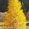 Отель Auberge du Clot, фото 6
