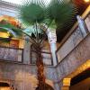 Отель Riad Dar al Kounouz в Марракеше