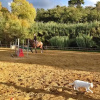 Отель Ridocco Agriturismo, фото 11