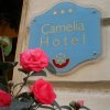 Отель Camelia, фото 17