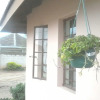 Отель Sharon Avenue Guesthouse во Франсистауне