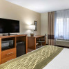Отель Comfort Inn Okemos - East Lansing, фото 4