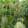 Отель Mae Nai Gardens, фото 37