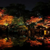 Отель Kiyotaki Ryokan, фото 16