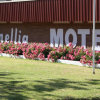 Отель Camellia Motel, фото 10
