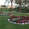 Отель Royal Tulip Al Rasheed, фото 27