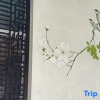 Отель Hangzhou Yuelou Homestay, фото 9