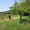 Отель Gite on a Quiet Property, Through a Wine Garden Surrounding, фото 16