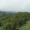 Отель Fredelia Homestay, фото 13