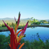 Отель Casa Laureles, фото 4
